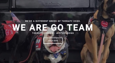 Go Team Therapy Dogs | Cane and Able Stroke Recovery Group